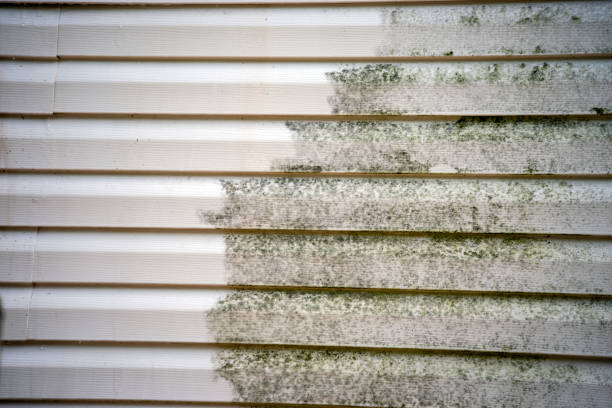 Best Storm Damage Siding Repair  in Westmont, PA