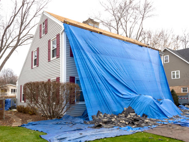 Best Brick Veneer Siding  in Westmont, PA